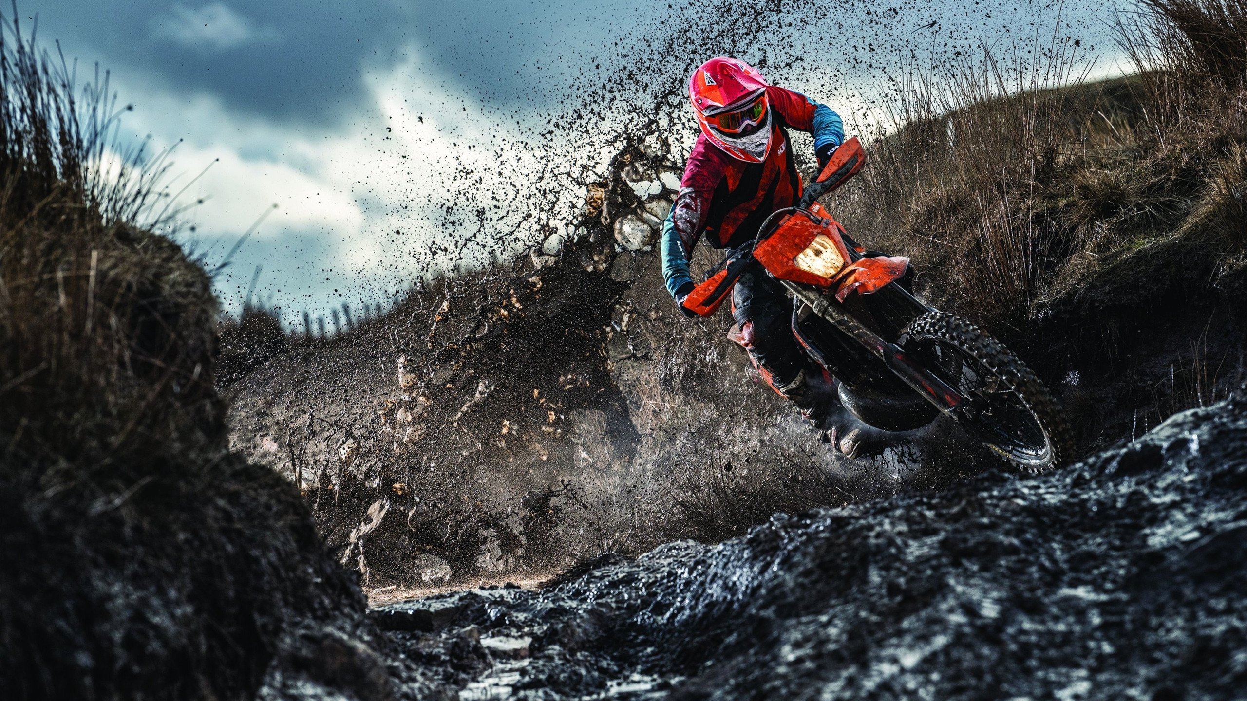 库里一箭穿心，辽宁队带走森林狼的东方密码