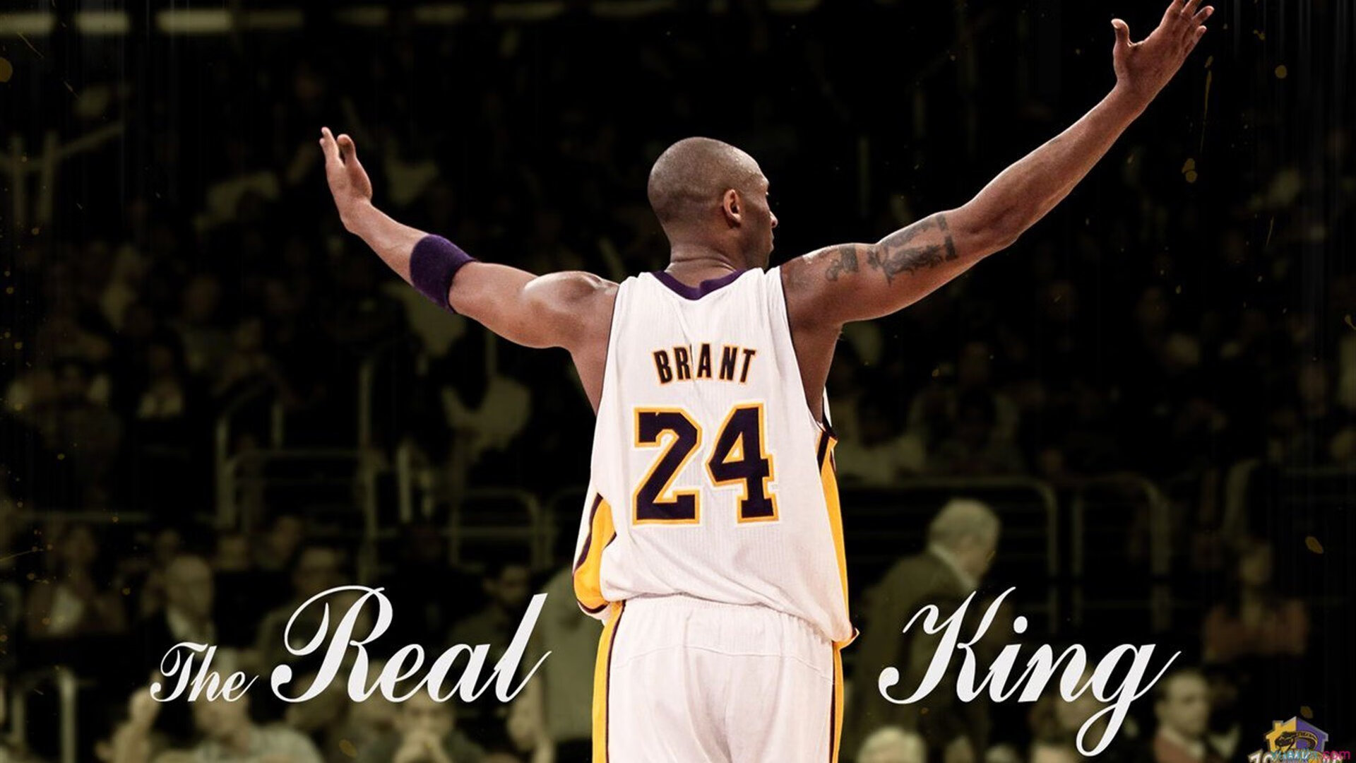 深圳队速胜太阳，米切尔攻防两端的统治艺术